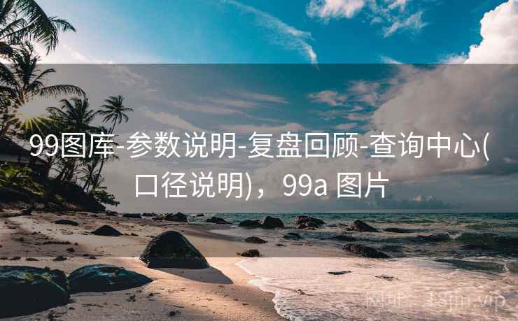 99图库-参数说明-复盘回顾-查询中心(口径说明)，99a 图片