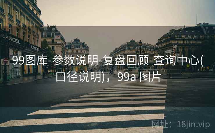 99图库-参数说明-复盘回顾-查询中心(口径说明),99a 图片